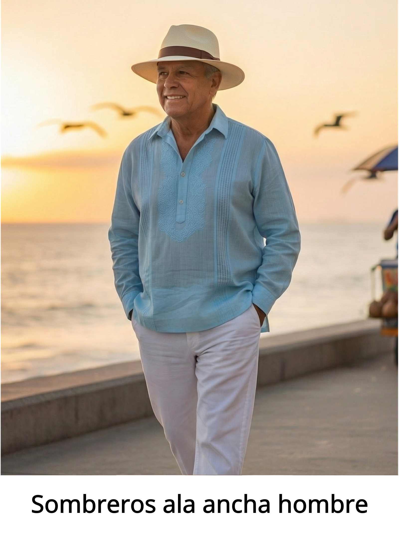 Tienda_online_sombreros-Sombreros_ala_ancha_hombre Tienda_online_sombreros-Sombreros_ala_ancha_hombre